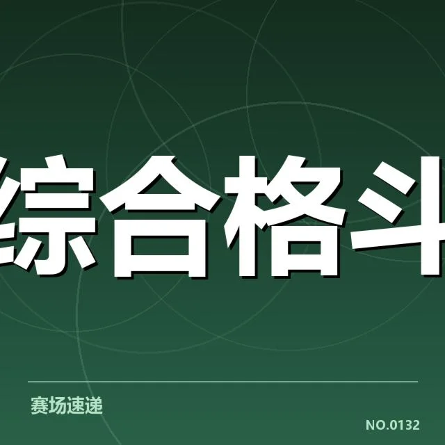 已确认的主流恢复手段与实践项目